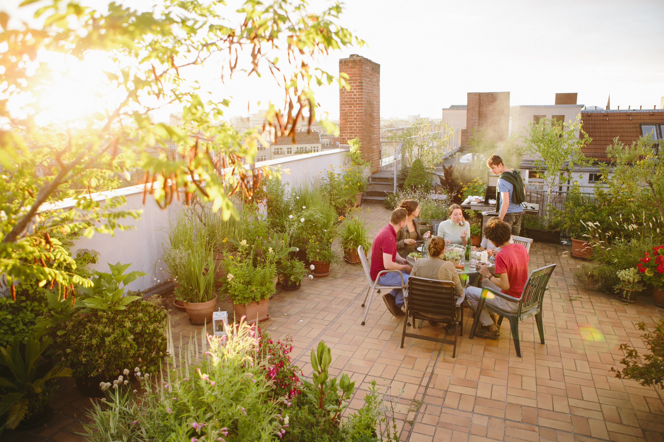 young adults celebrating a party on roof garden, barbecue, lens flare, back lit